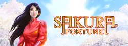 Sakura Fortune von Quickspin